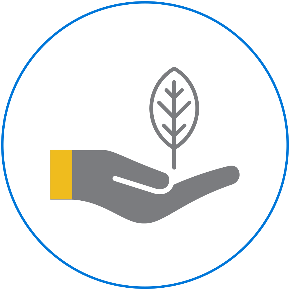 Cuidado del medio ambiente