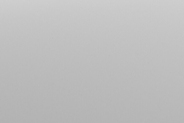 BLANCO PLATINO / NEGRO†