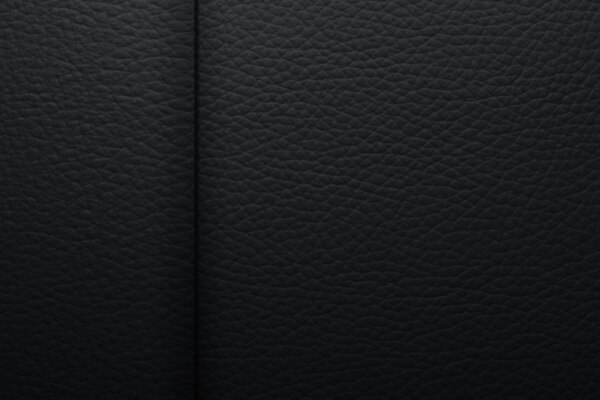 Pantone piel negra